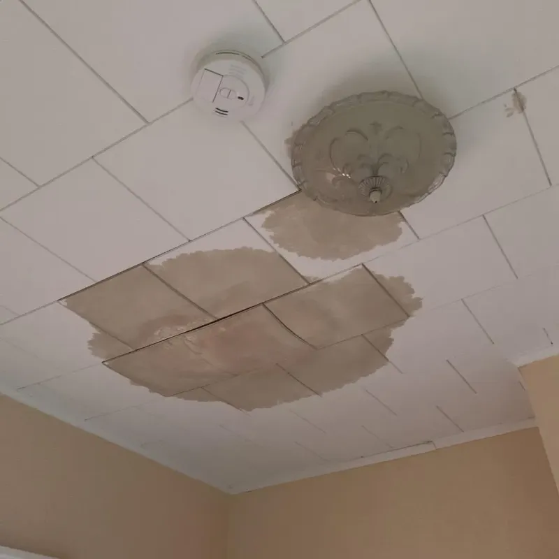 Ceiling Water Damage Repair in Freeborn County, MN